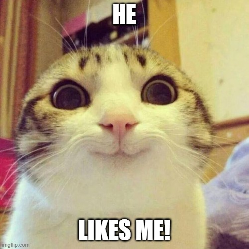 Smiling Cat Meme | HE LIKES ME! | image tagged in memes,smiling cat | made w/ Imgflip meme maker