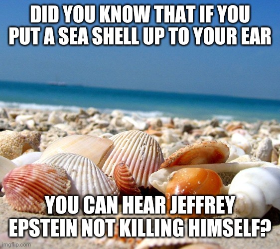 Sea shells | DID YOU KNOW THAT IF YOU PUT A SEA SHELL UP TO YOUR EAR; YOU CAN HEAR JEFFREY EPSTEIN NOT KILLING HIMSELF? | image tagged in sea shells | made w/ Imgflip meme maker