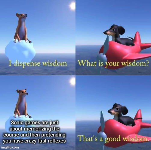 Wisdom dog | Sonic games are just about memorizing the course and then pretending you have crazy fast reflexes | image tagged in wisdom dog | made w/ Imgflip meme maker