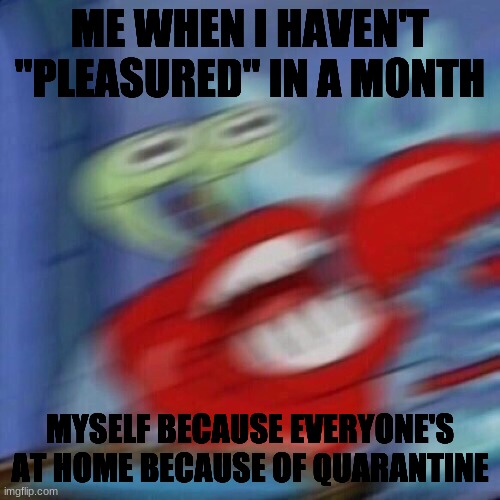 Mr. Krabs Mad  | ME WHEN I HAVEN'T "PLEASURED" IN A MONTH; MYSELF BECAUSE EVERYONE'S AT HOME BECAUSE OF QUARANTINE | image tagged in mr krabs mad | made w/ Imgflip meme maker