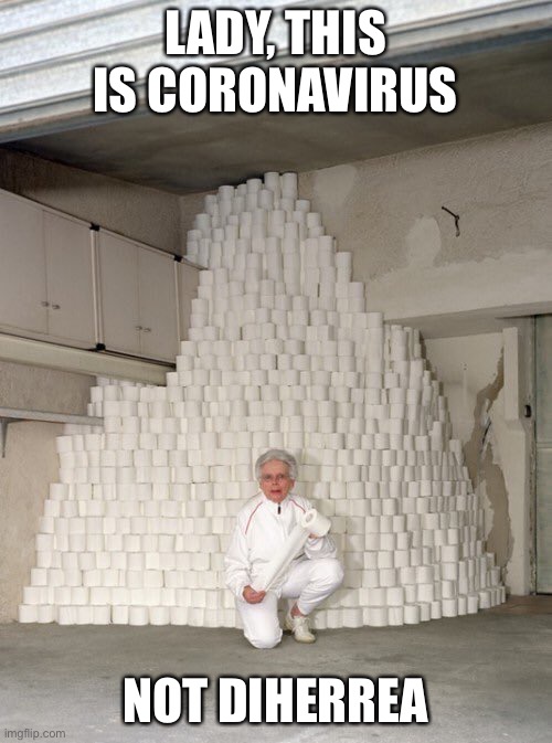 mountain of toilet paper | LADY, THIS IS CORONAVIRUS; NOT DIHERREA | image tagged in mountain of toilet paper | made w/ Imgflip meme maker
