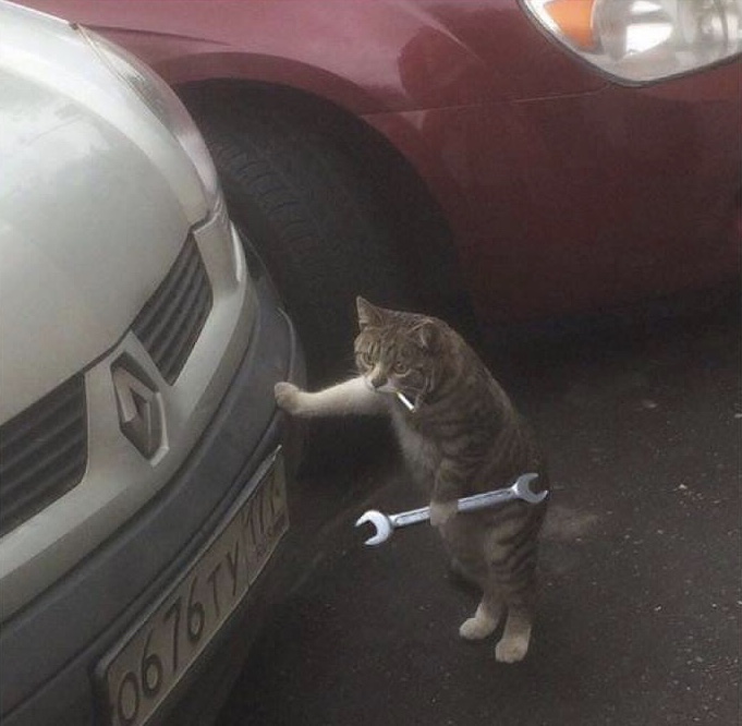 Smokin Wrench Cat Blank Meme Template