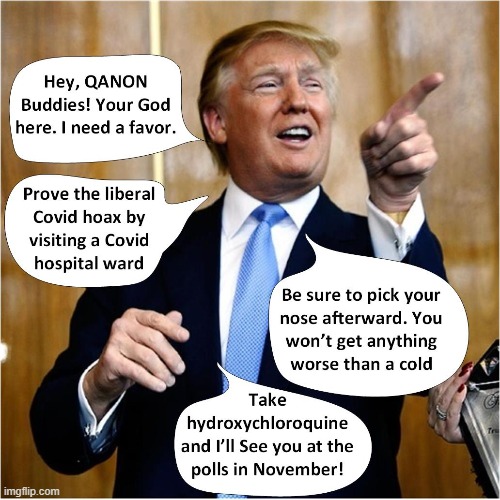 Covid Hoax | image tagged in donald trump,covid,hoax | made w/ Imgflip meme maker