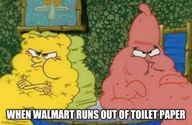 WHEN WALMART RUNS OUT OF TOILET PAPER | image tagged in memes | made w/ Imgflip meme maker
