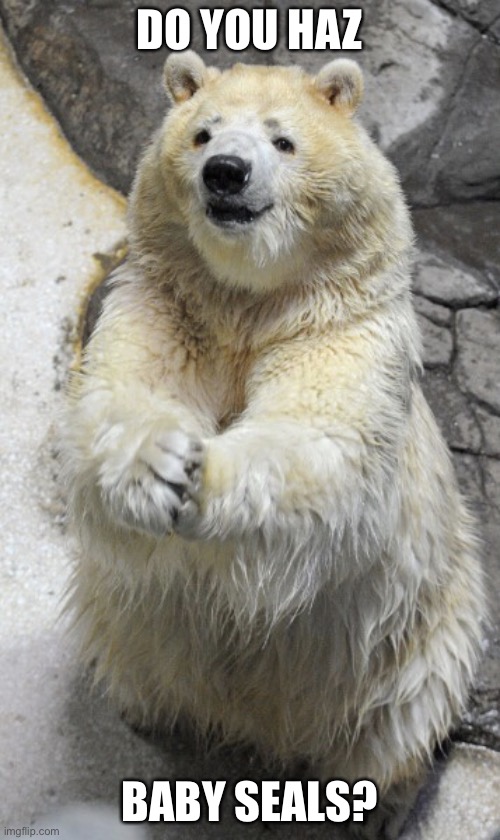 Diabolical Polar Bear | DO YOU HAZ; BABY SEALS? | image tagged in diabolical polar bear | made w/ Imgflip meme maker