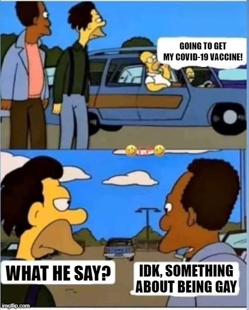 Gay Homer | GOING TO GET MY COVID-19 VACCINE! WHAT HE SAY? IDK, SOMETHING ABOUT BEING GAY | image tagged in homer,gay,covid-19,false flag,jesus,fake | made w/ Imgflip meme maker