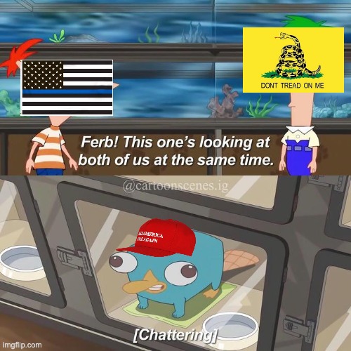 Authoritarian Rebel | image tagged in blue lives matter,don't tread on me,phineas and ferb | made w/ Imgflip meme maker