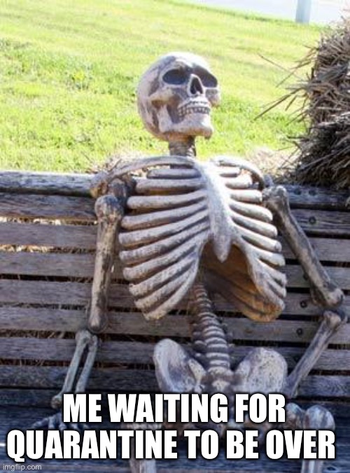 Waiting Skeleton |  ME WAITING FOR QUARANTINE TO BE OVER | image tagged in memes,waiting skeleton | made w/ Imgflip meme maker