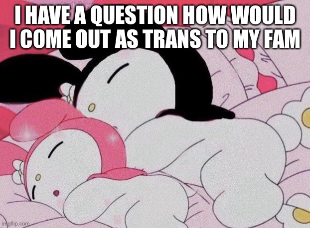 I HAVE A QUESTION HOW WOULD I COME OUT AS TRANS TO MY FAMILY | made w/ Imgflip meme maker