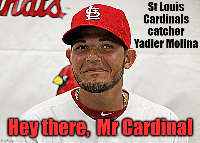 St Louis Cardinals catcher Yadier Molina Hey there,  Mr Cardinal | made w/ Imgflip meme maker
