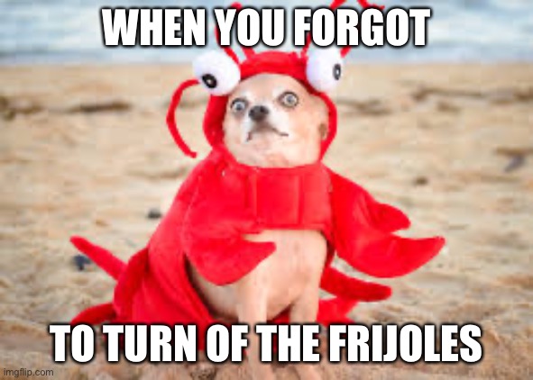 Funny memes | WHEN YOU FORGOT; TO TURN OF THE FRIJOLES | image tagged in funny memes | made w/ Imgflip meme maker