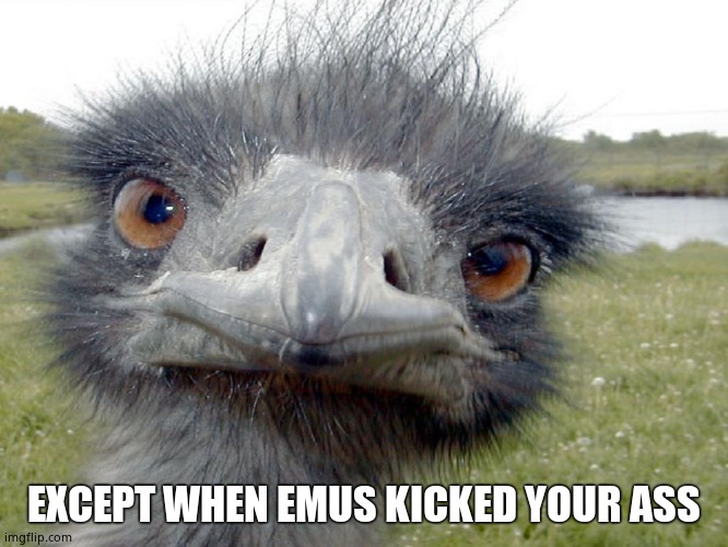 Emu Head Brah Whats Up | EXCEPT WHEN EMUS KICKED YOUR ASS | image tagged in emu head brah whats up | made w/ Imgflip meme maker