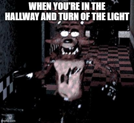 Foxy running | WHEN YOU'RE IN THE HALLWAY AND TURN OF THE LIGHT | image tagged in foxy running | made w/ Imgflip meme maker
