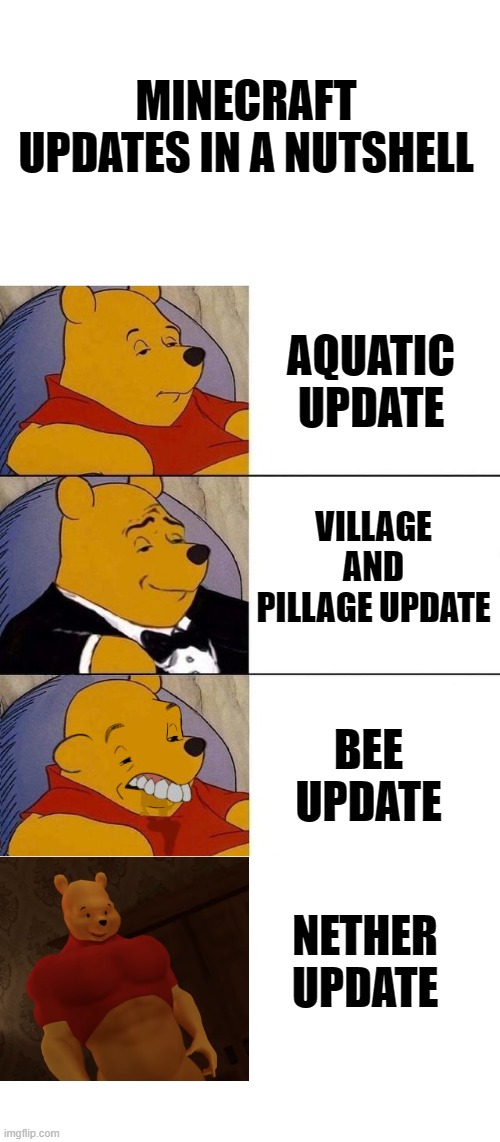 Best,Better, Blurst | MINECRAFT UPDATES IN A NUTSHELL; AQUATIC UPDATE; VILLAGE AND PILLAGE UPDATE; BEE UPDATE; NETHER UPDATE | image tagged in best better blurst | made w/ Imgflip meme maker