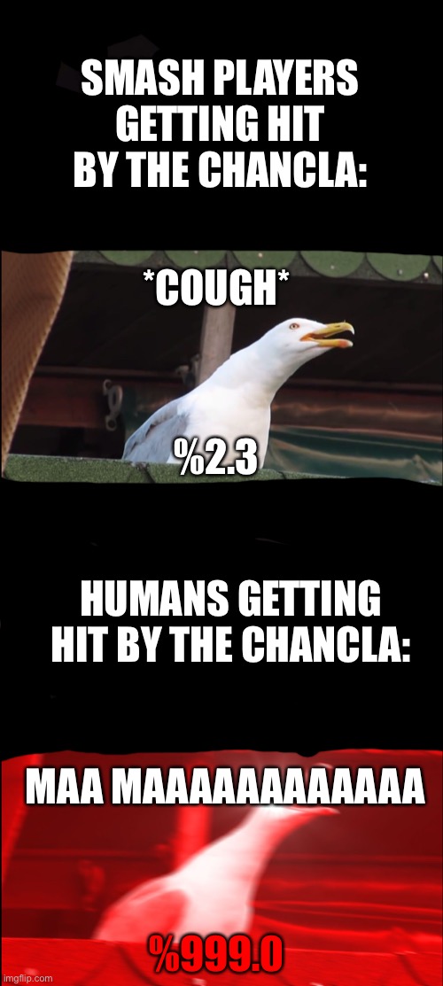 Inhaling Seagull | SMASH PLAYERS GETTING HIT BY THE CHANCLA:; *COUGH*; %2.3; HUMANS GETTING HIT BY THE CHANCLA:; MAA MAAAAAAAAAAAA; %999.0 | image tagged in memes,inhaling seagull | made w/ Imgflip meme maker