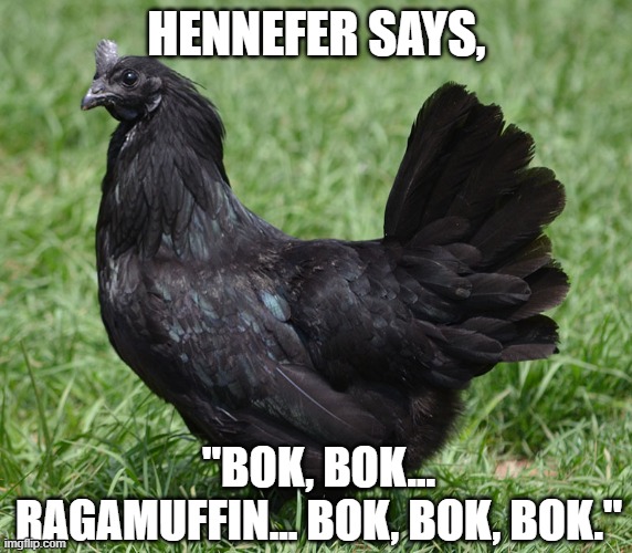 Hennefer Sez | HENNEFER SAYS, "BOK, BOK... RAGAMUFFIN... BOK, BOK, BOK." | image tagged in hennefer,black hen,the witcher,ragamuffin,bok bok | made w/ Imgflip meme maker