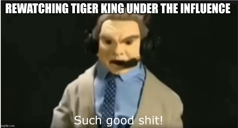 drunken tiger | REWATCHING TIGER KING UNDER THE INFLUENCE | image tagged in joe exotic,tiger king,wwe,booze | made w/ Imgflip meme maker