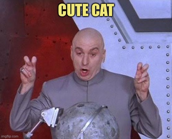 Dr Evil Laser Meme | CUTE CAT | image tagged in memes,dr evil laser | made w/ Imgflip meme maker