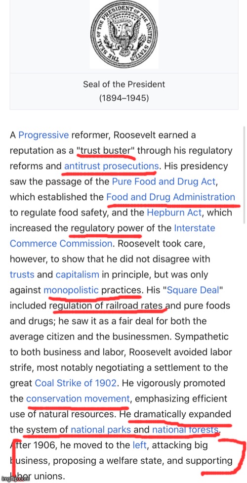 A progressive reformer, Teddy Roosevelt would have been more at home in today’s Democratic Party than the Republican Party | image tagged in teddy roosevelt presidency,teddy roosevelt,democratic party,progressive,republican party,progress | made w/ Imgflip meme maker