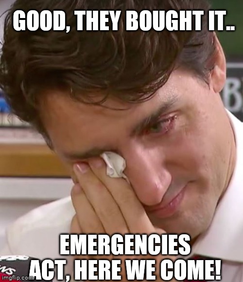 Justin Trudeau Crying | GOOD, THEY BOUGHT IT.. EMERGENCIES ACT, HERE WE COME! | image tagged in justin trudeau crying | made w/ Imgflip meme maker
