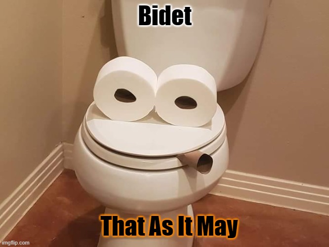 Bidet; That As It May | image tagged in poop,shit,puns,toilet,toilet paper,bidet | made w/ Imgflip meme maker