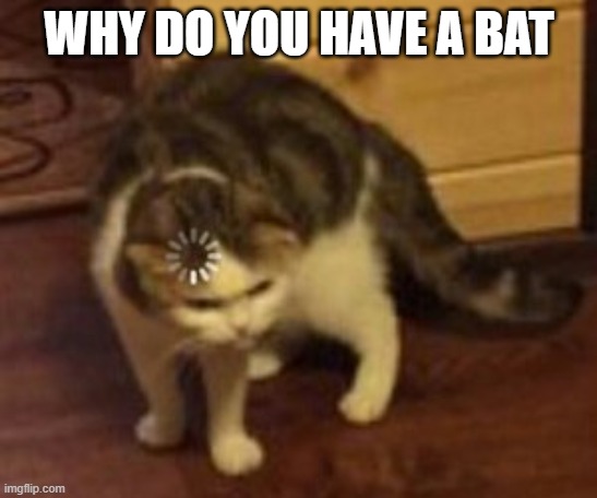 Loading cat | WHY DO YOU HAVE A BAT | image tagged in loading cat | made w/ Imgflip meme maker