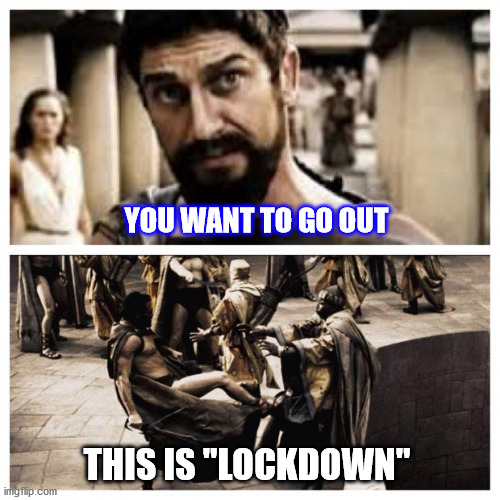 300 | YOU WANT TO GO OUT; THIS IS "LOCKDOWN" | image tagged in 300 | made w/ Imgflip meme maker