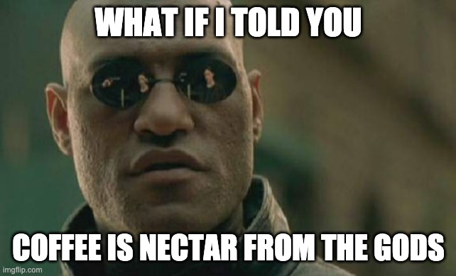 Matrix Morpheus Meme | WHAT IF I TOLD YOU; COFFEE IS NECTAR FROM THE GODS | image tagged in memes,matrix morpheus | made w/ Imgflip meme maker