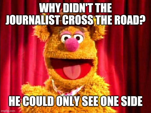 Wokka wokka wokka! | WHY DIDN'T THE JOURNALIST CROSS THE ROAD? HE COULD ONLY SEE ONE SIDE | image tagged in fozzie bear joke,memes,fun | made w/ Imgflip meme maker