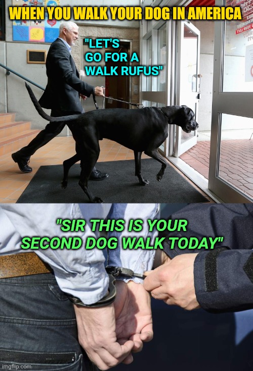 AMERICA THE FREE: you can walk your dog once a day due to coronavirus regulations | WHEN YOU WALK YOUR DOG IN AMERICA; "LET'S GO FOR A WALK RUFUS"; "SIR THIS IS YOUR SECOND DOG WALK TODAY" | image tagged in coronavirus,dogs,america,laws,quarantine | made w/ Imgflip meme maker