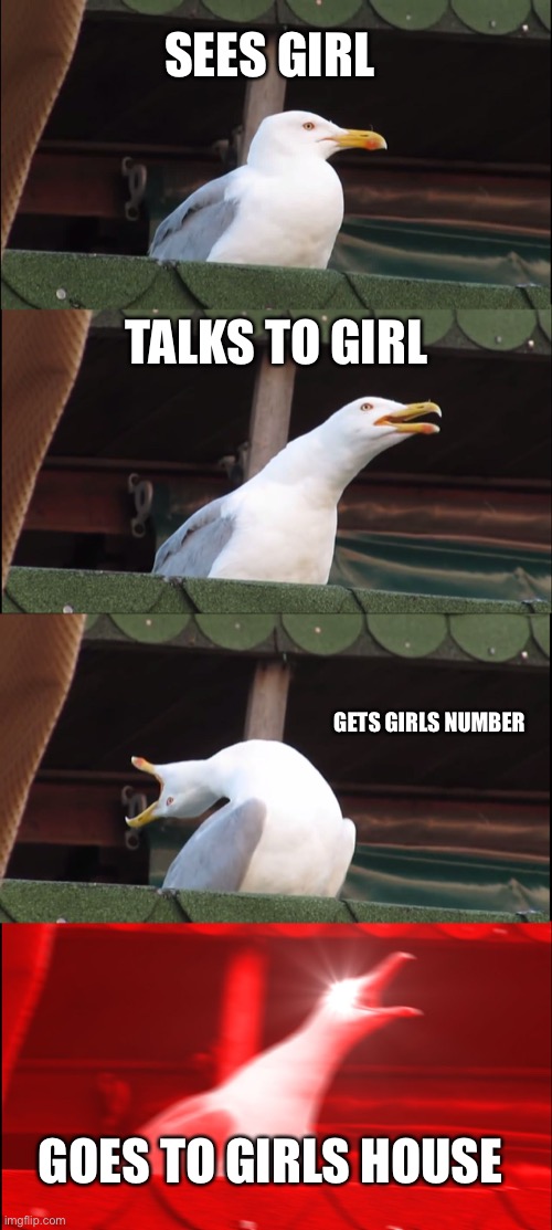 Inhaling Seagull Meme | SEES GIRL; TALKS TO GIRL; GETS GIRLS NUMBER; GOES TO GIRLS HOUSE | image tagged in memes,inhaling seagull | made w/ Imgflip meme maker