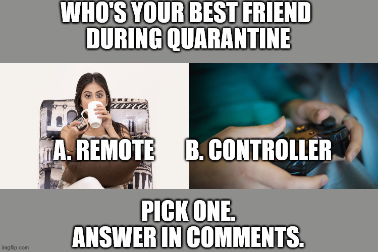 who's your best friend during quarantine | WHO'S YOUR BEST FRIEND 
DURING QUARANTINE; A. REMOTE       B. CONTROLLER; PICK ONE.
ANSWER IN COMMENTS. | image tagged in just for fun,stay home,gaming | made w/ Imgflip meme maker