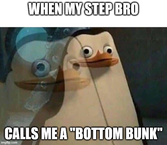 The penguins of Madagascar | WHEN MY STEP BRO; CALLS ME A "BOTTOM BUNK" | image tagged in the penguins of madagascar | made w/ Imgflip meme maker