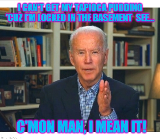 It's time for Uncle Joe to go to a nice  quiet restful place... | I CAN'T GET MY TAPIOCA PUDDING 'CUZ I'M LOCKED IN THE BASEMENT  SEE... C'MON MAN, I MEAN IT! | image tagged in crying democrats,losers | made w/ Imgflip meme maker