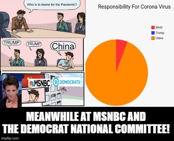 Who Is Responsible For The Pandemic? | image tagged in coronavirus,fake news,msnbc,democrats,stupid liberals | made w/ Imgflip meme maker