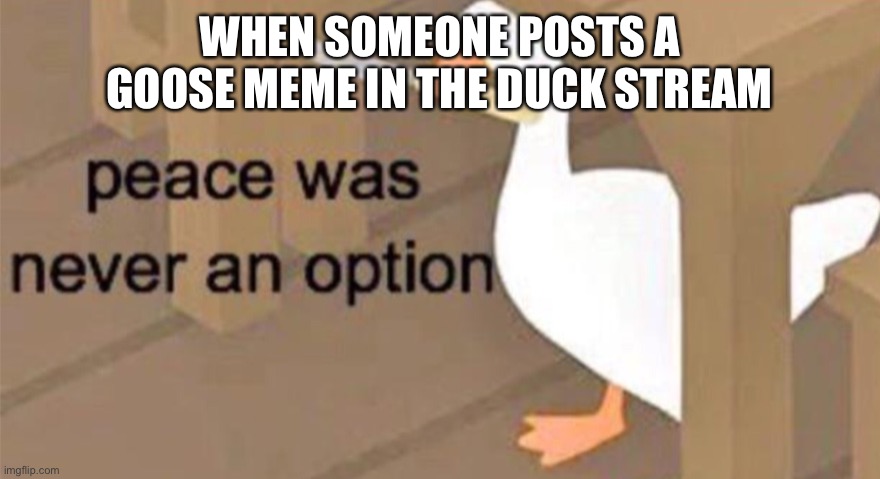 Untitled Goose Peace Was Never an Option | WHEN SOMEONE POSTS A GOOSE MEME IN THE DUCK STREAM | image tagged in untitled goose peace was never an option | made w/ Imgflip meme maker