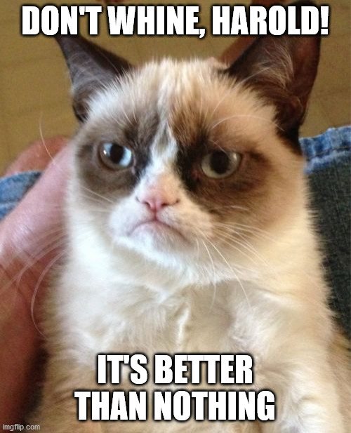 Grumpy Cat Meme | DON'T WHINE, HAROLD! IT'S BETTER THAN NOTHING | image tagged in memes,grumpy cat | made w/ Imgflip meme maker