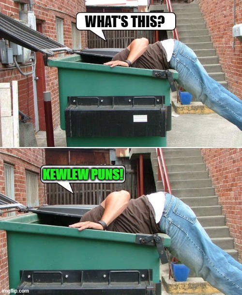 dumpster diving | WHAT'S THIS? KEWLEW PUNS! | image tagged in kewlew,puns,imgflip,funny,dunpster,diving | made w/ Imgflip meme maker