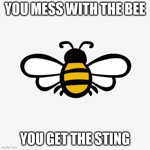 Bee sting | YOU MESS WITH THE BEE; YOU GET THE STING | image tagged in bee,sting,bumble bee,karma | made w/ Imgflip meme maker