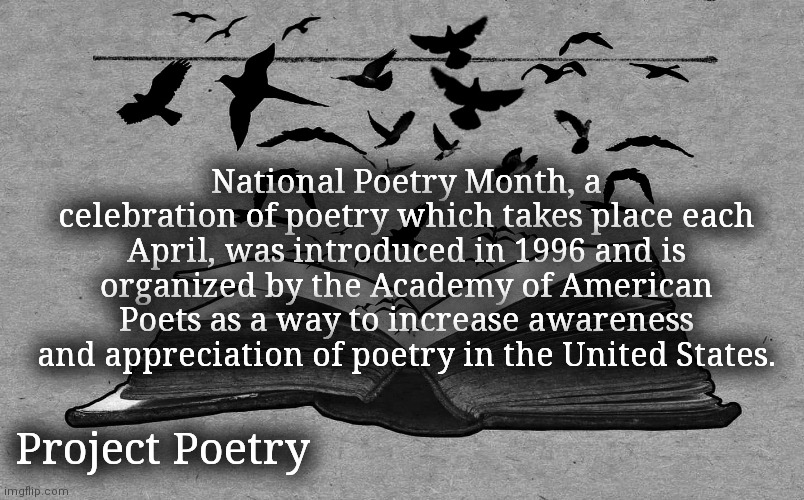 Project Poetry | National Poetry Month, a celebration of poetry which takes place each April, was introduced in 1996 and is organized by the Academy of American Poets as a way to increase awareness and appreciation of poetry in the United States. Project Poetry | image tagged in art,appreciation,poetry,artist | made w/ Imgflip meme maker