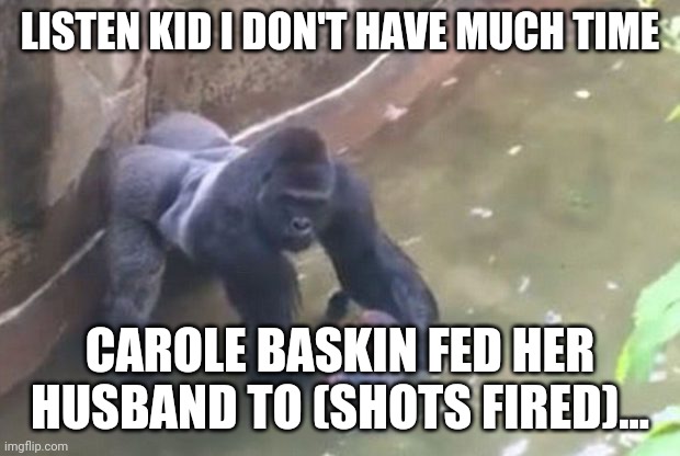 Last Moments of HARAMBE | LISTEN KID I DON'T HAVE MUCH TIME; CAROLE BASKIN FED HER HUSBAND TO (SHOTS FIRED)... | image tagged in last moments of harambe,tiger king | made w/ Imgflip meme maker