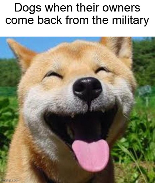 Happy Doge | Dogs when their owners come back from the military | image tagged in happy doge | made w/ Imgflip meme maker