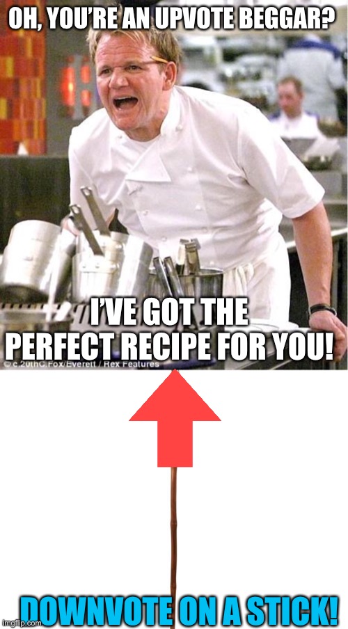 Them.  Flipping.  Beggars! | OH, YOU’RE AN UPVOTE BEGGAR? I’VE GOT THE PERFECT RECIPE FOR YOU! DOWNVOTE ON A STICK! | image tagged in memes,chef gordon ramsay,funny,downvote,upvote begging,upvotes | made w/ Imgflip meme maker