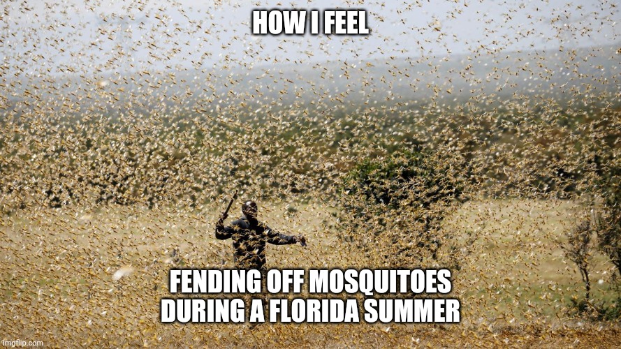 They don't make a citronella candle that big | HOW I FEEL; FENDING OFF MOSQUITOES DURING A FLORIDA SUMMER | image tagged in florida,mosquito,memes,funny,summer | made w/ Imgflip meme maker