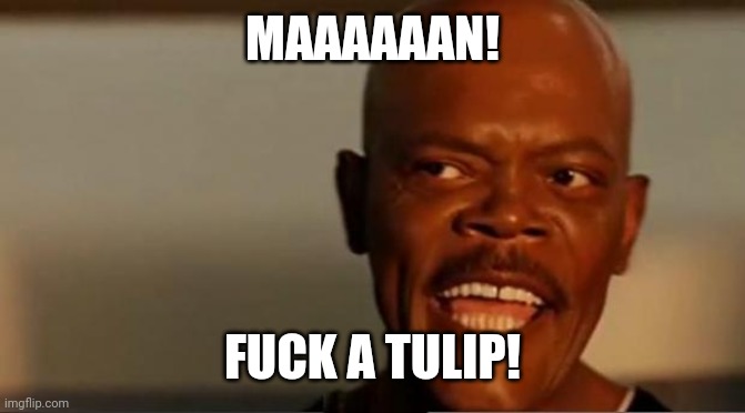 Snakes on the Plane Samuel L Jackson | MAAAAAAN! F**K A TULIP! | image tagged in snakes on the plane samuel l jackson | made w/ Imgflip meme maker