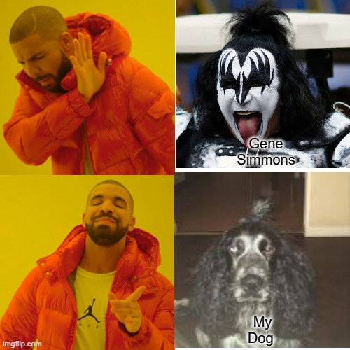 Drake Hotline Bling | Gene Simmons; My Dog | image tagged in memes,drake hotline bling | made w/ Imgflip meme maker