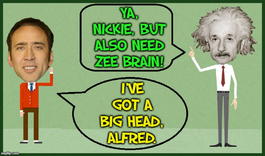 "Science says larger brains are correlated w/ higher intelligence" —Jeff Haden, Inc. | YA, NICKIE, BUT ALSO NEED ZEE BRAIN! I'VE GOT A BIG HEAD, ALFRED. | image tagged in vince vance,albert einstein,you don't say - nicholas cage,big head,brains,new meme | made w/ Imgflip meme maker