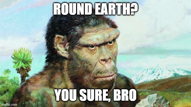 Skeptical primitive | ROUND EARTH? YOU SURE, BRO | image tagged in skeptical primitive | made w/ Imgflip meme maker