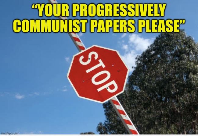 Your Papers Please | “YOUR PROGRESSIVELY COMMUNIST PAPERS PLEASE” | image tagged in your papers please | made w/ Imgflip meme maker