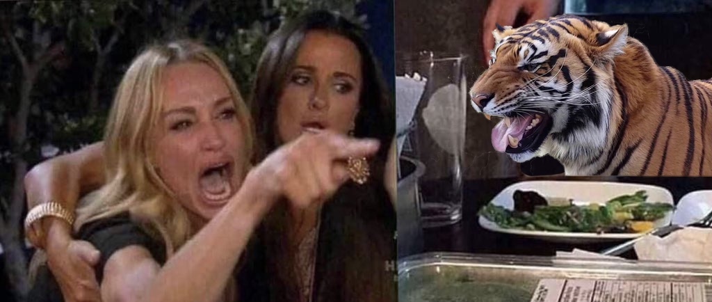 High Quality Woman Yelling At Tiger Blank Meme Template